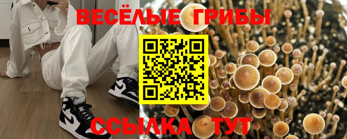Нерюнгри  Галлюциногенные грибы ЛСД  Вход с VPN  Галлюциногенные грибы GOLDEN TEACHER 